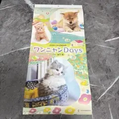 Item thumbnail for item 6ea22c2b-4dce-42e9-9386-74bac6a6b225