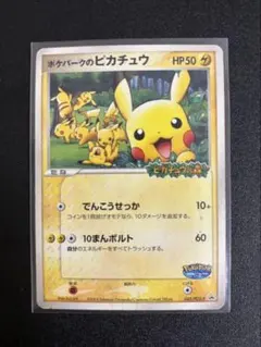 に*中様 ポケパークのピカチュウ PROMO PCG-Pプロモカード 043/P