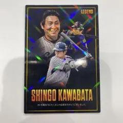 東京ヤクルトスワローズ 川端慎吾 カルビー LEGENDカード