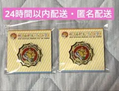 新品未開封】のと里山空港 限定 ポケモン ピンバッジ 2個セット ピンズ