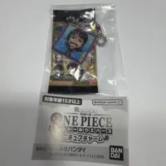 ワンピース 大海賊シールウエハース ミニチュアチャーム ニコ・ロビン③