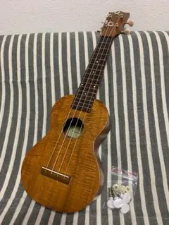 Item thumbnail for item 636107c2-31e4-4b38-b834-db46f9e9fa42