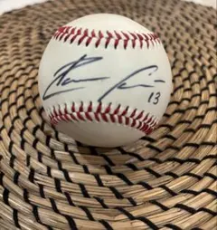 Item thumbnail for item 7fa5dcff-13d7-4abb-b21f-59e453fc5216