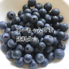 生ブルーベリー　　メンデイト　中大粒　無農薬　500g
