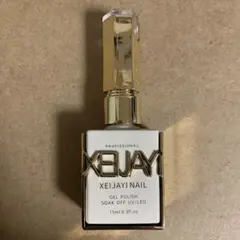 SHEIN XEIJAY マグネット ジェル 15ml ×1