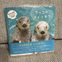 激レア！！ 鳥羽水族館 ラッコ メイちゃん お誕生日 （22歳）記念