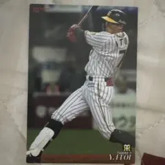 阪神タイガース 糸井嘉男選手 クリアファイル 2枚組 - メルカリ