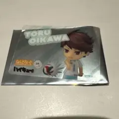 ハイキューファンパーク 会場限定特典　クリアカード　及川徹　ねんどいろ　非売品