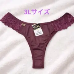 ブラジリアンTバックショーツ 3L相当 レース