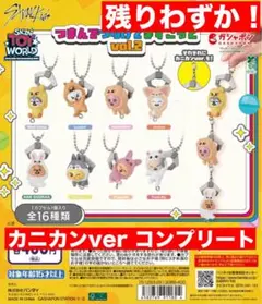 カニカン　新品未使用　SKZOO つまんでつなげてますこっと vol.2