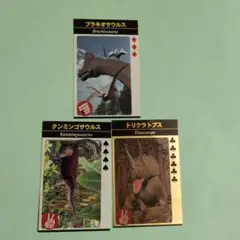 恐竜カード　3枚セット