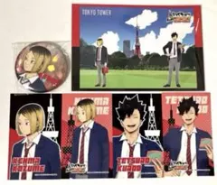 ハイキュー 飛べ 最高の景色を全国の頂で ランブロ ポスカ 缶バッジ カード