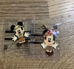 ミッキー ミニー  チャーム  セット 東京ディズニーリゾート 景品
