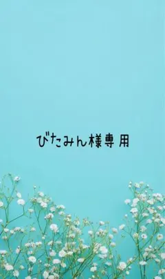 ハンドメイド犬服☆びたみん様専用