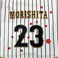 Item thumbnail for item cb0ac2b6-4da7-47d1-ad27-0014e9f1ab8d