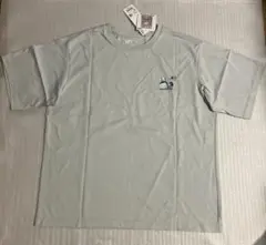 Item thumbnail for item cb1746ad-94cb-4186-93a6-995da8351478