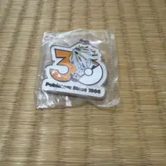 ポケモン 30周年 メタルチャームマスコット ソルガレオ