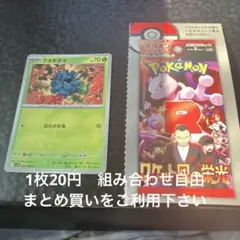 クヌギダマ　在庫2 R