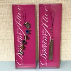 嵐　Dream Alive 2008 キーホルダー 2個セット