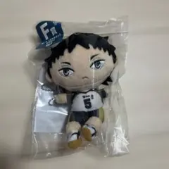 ハイキュー ぬいもっち F賞 赤葦京治