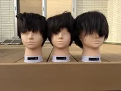 2026年最新】カットウィッグip200の人気アイテム - メルカリ