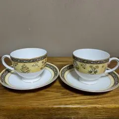 WEDGWOODウェッジウッド　インディア カップ&ソーサー 2客セット 廃盤品