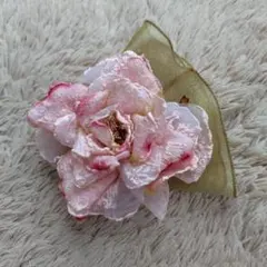 Item thumbnail for item 17f032ea-1231-4cac-8a48-187f47cd375b