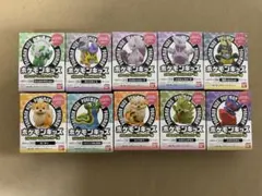 ポケモンキッズ メガミュウツーX&メガミュウツーY編　9個セット