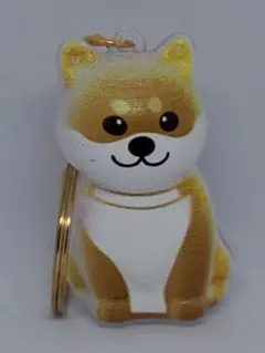 Item thumbnail for item 61a028f1-406c-40aa-a07c-b10c6f59f55f