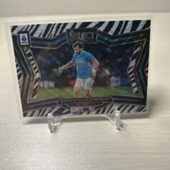 Kvaratskhelia 2024-25 Panini Select ゼブラ柄