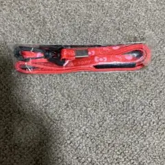 Item thumbnail for item d2e05061-f18c-4bb0-b53c-7c690e1cb22e