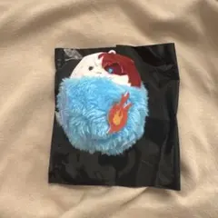 ヒロアカ くるみたぴぬい 轟