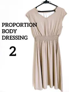 プロポーションボディドレッシング　Vネック 半袖ワンピース