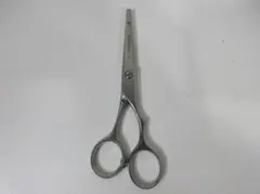 Item thumbnail for item 1f6ec637-0ed6-4baf-90c1-c6fd907e1702