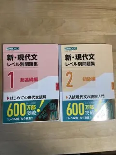 新・現代文 レベル別問題集 1 & 2セット