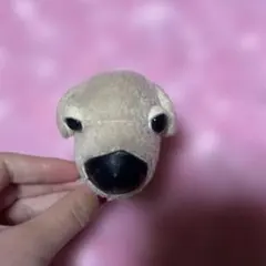 Item thumbnail for item 63337209-9e2e-4466-982f-ca5b6fb20694