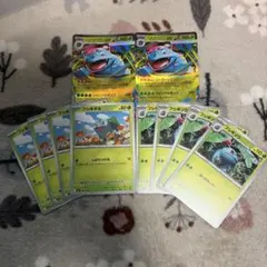 メガフシギバナex2枚　フシギソウ4枚　フシギダネ4枚