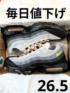 毎日値下げ　ナイキ エアマックス 95 アイコンズ　airmax☆最安値☆