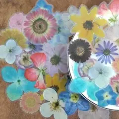 Item thumbnail for item cd8e8089-b3dd-456e-84a5-8bb794f487dc