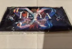 瀬口黎弥 ミュージシャン