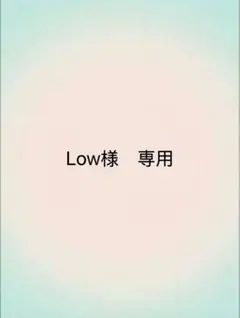 Low様専用　ベジート＆ゴジッタ