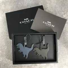 2026年最新】coach レキシー チャームの人気アイテム - メルカリ