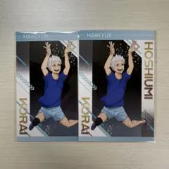 ハイキュー!!　アニメイト　ユース・疑似ユース合宿フェア　特典　星海光来