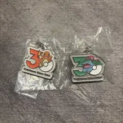 ポケモン 30周年記念　メタルチャーム