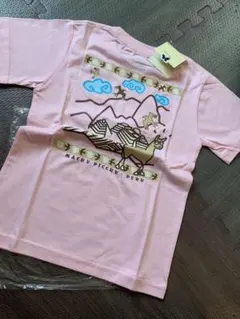 Item thumbnail for item 972b3256-c419-4883-8ee8-e8cd8651139a