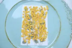 Item thumbnail for item 18765e7c-d6e8-41dc-b0d3-e7ddff68f0d9