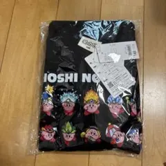 ライトオン　カービートレーナー