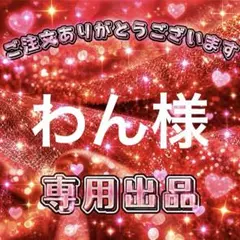 わん様　専用出品ページ