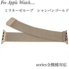 ミラネーゼループ　バンド　Apple Watch シャンパンゴールド　人気