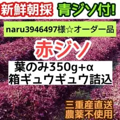 naru3946497様☆赤紫蘇の葉のみ箱ギチギチ350g/525枚位+大葉